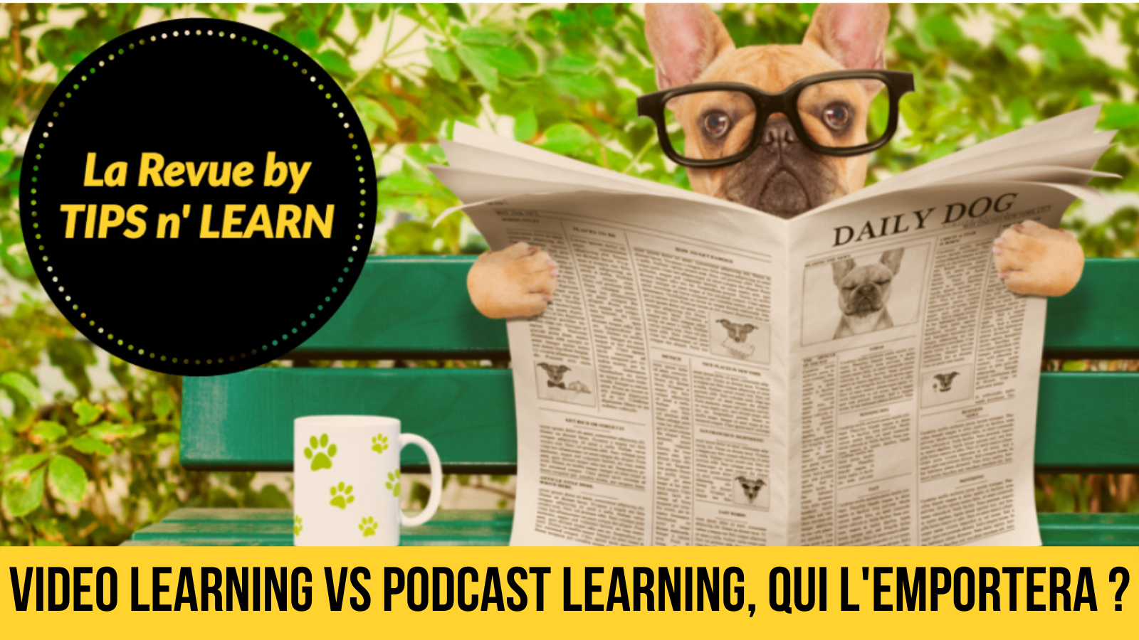 Video vs podcast learning