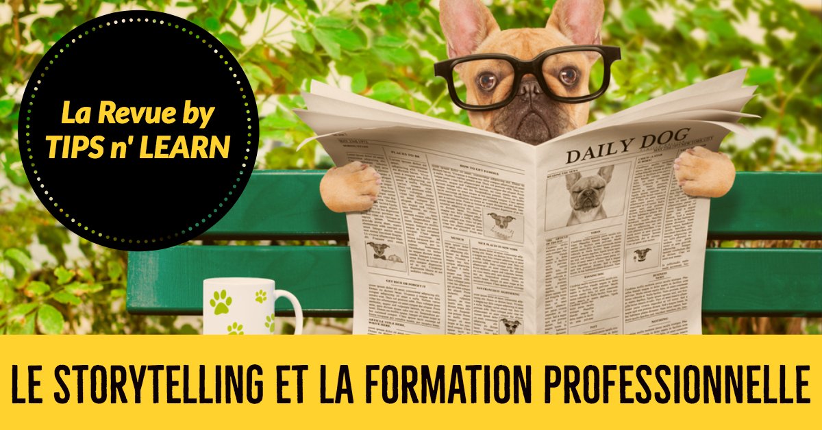 storytelling et formation professionnelle