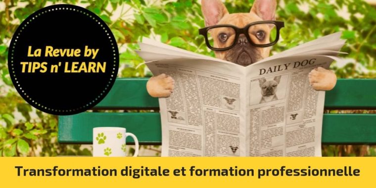 Transformation digitale et formation professionnelle