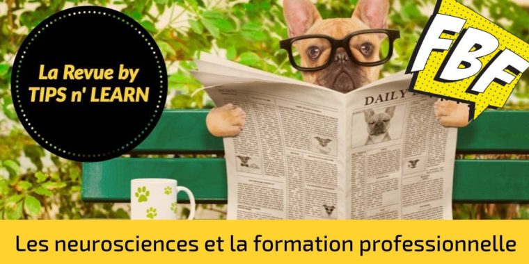 Neuroscience et formation professionnelle