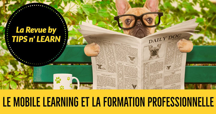 Mobile Learning et formation professionnelle