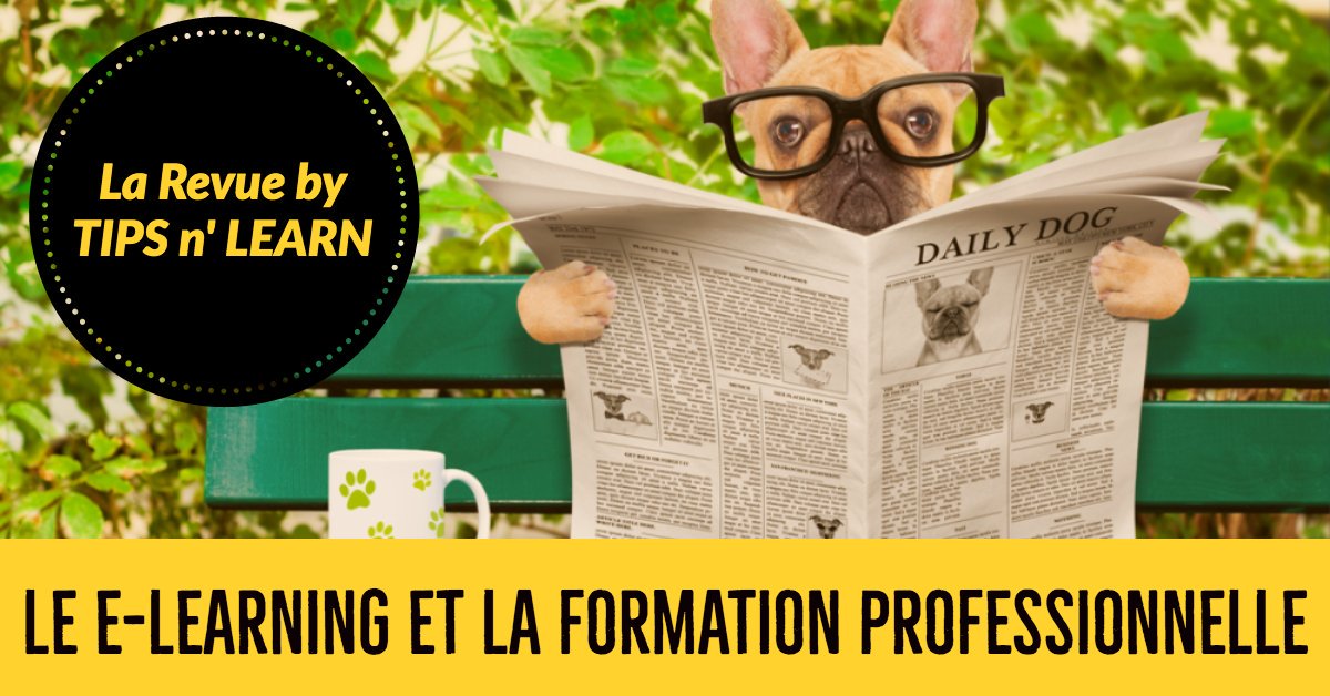 e-learning et formation professionnelle